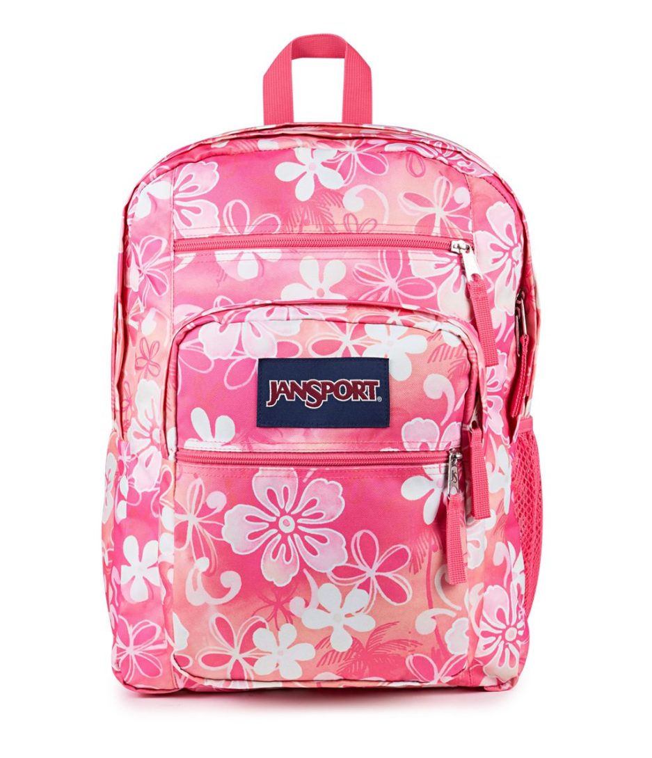 JanSport Big Student Backpacks - Hiblisscus