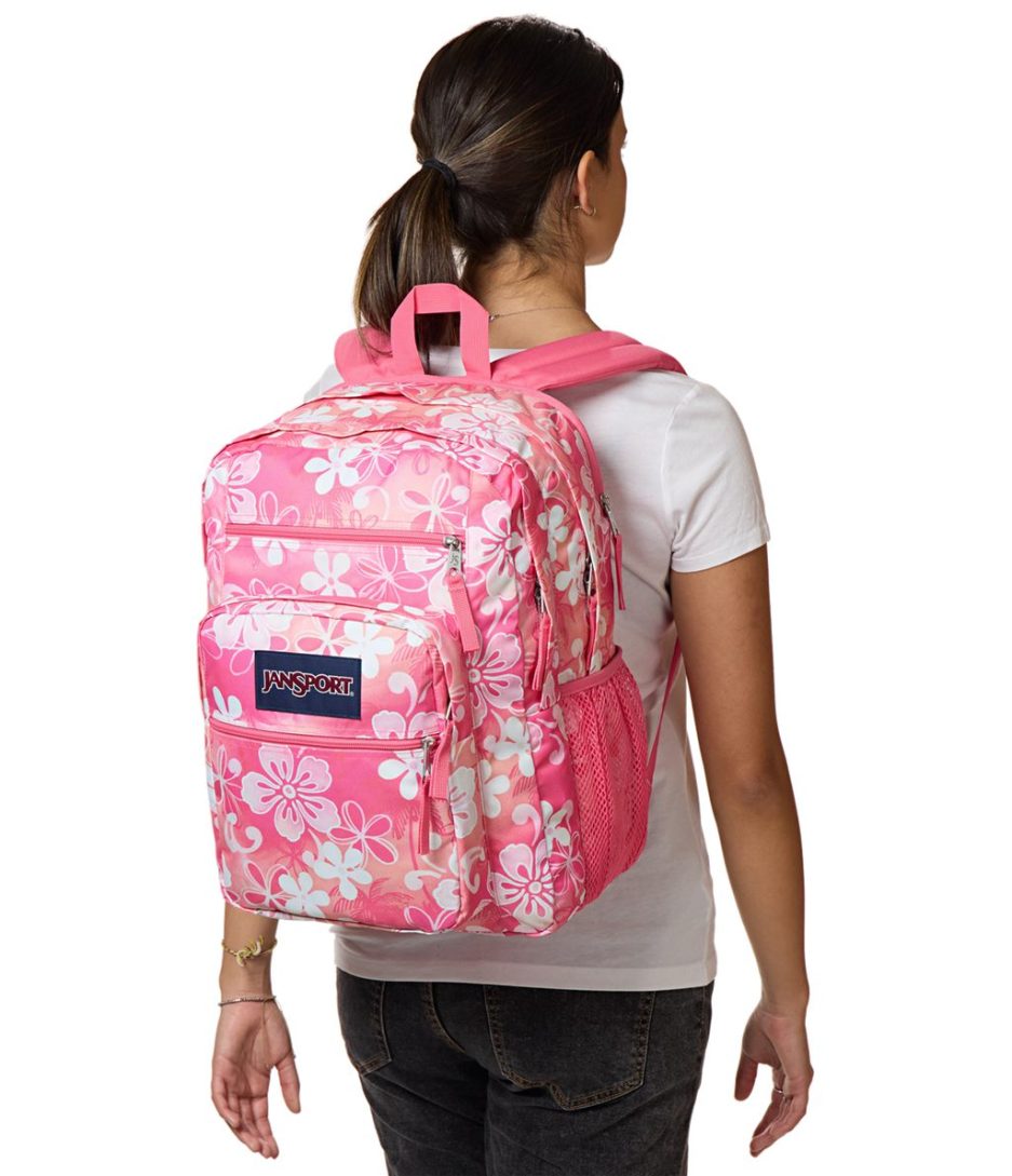 JanSport Big Student Backpacks - Hiblisscus - Image 2