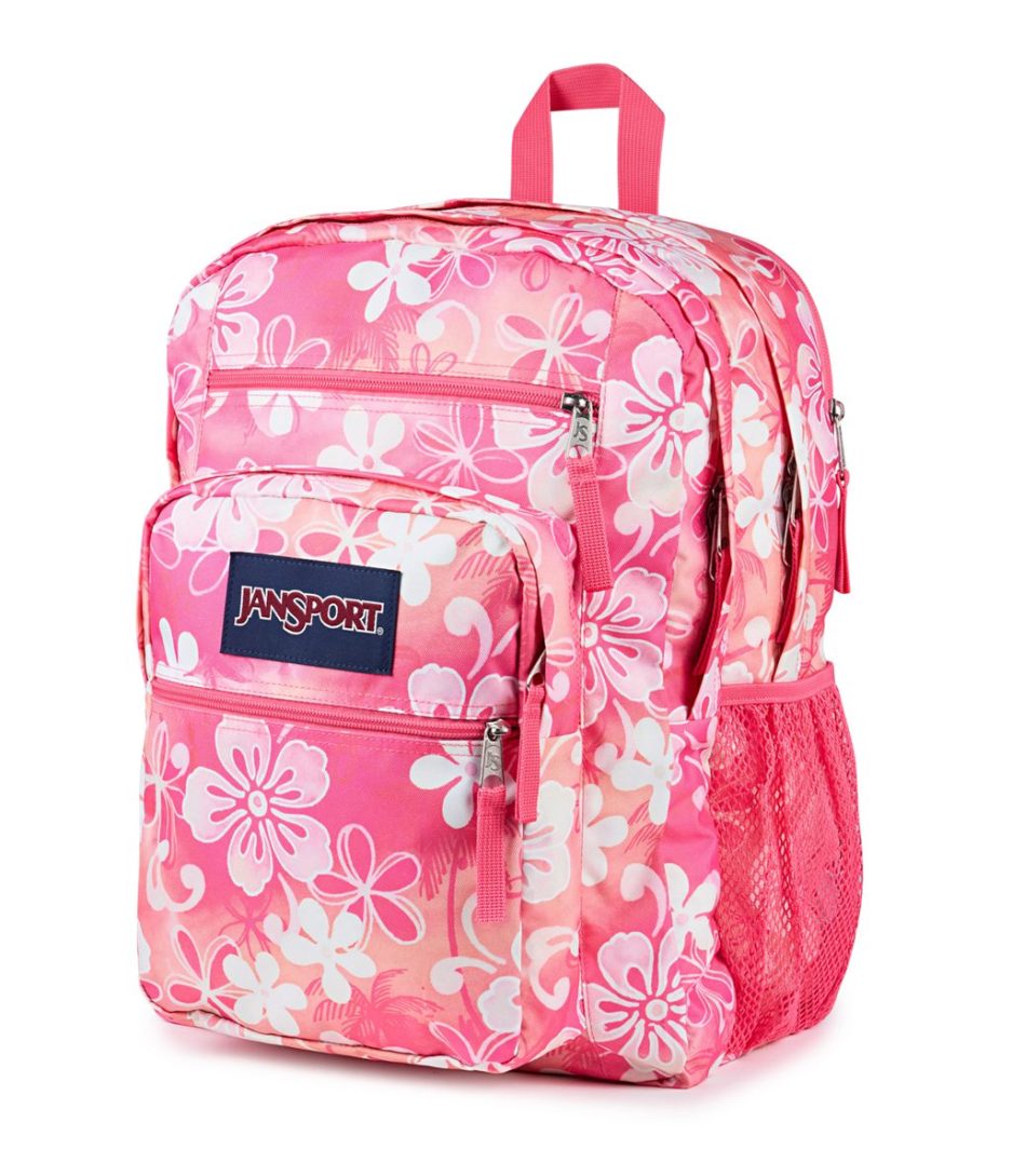 JanSport Big Student Backpacks - Hiblisscus - Image 3
