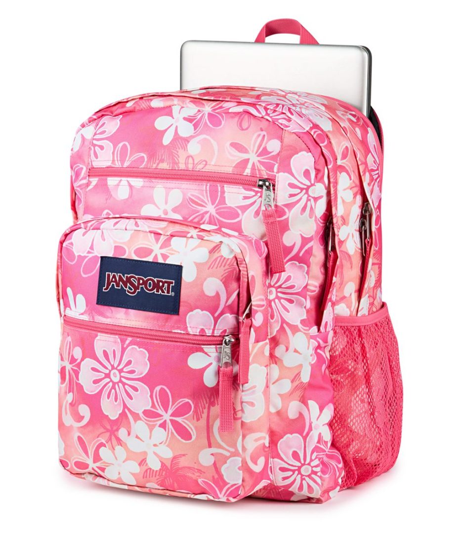 JanSport Big Student Backpacks - Hiblisscus - Image 6